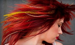 Featherlock Hair Extensions